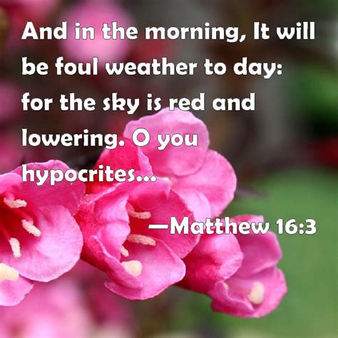 Matthew 16 3 And In The Morning It Will Be Foul Weather To Day For