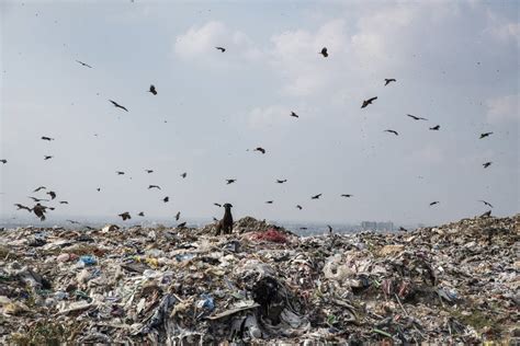 Asphyxiée par les déchets lInde bannit certains plastiques à usage unique