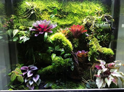 an aquarium filled with lots of different types of plants