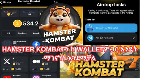 Hamster Kombat Wallet How To Connect Hamster