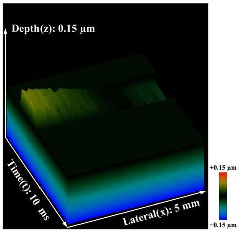 Photonics Free Full Text Quantitative Evaluation Of Biomechanical