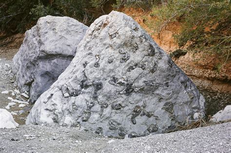 Chert Nodules In Limestone Jessica Martin Photographer