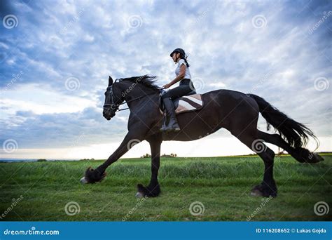 Beautiful Woman Riding a Black Friesian Horse. Stock Photo - Image of ...