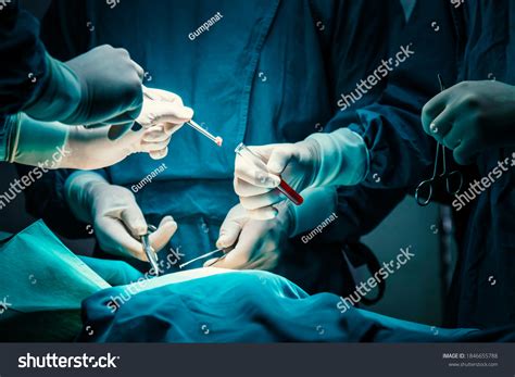 3,758 Surgical training Images, Stock Photos & Vectors | Shutterstock