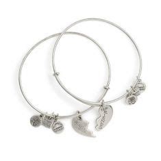 Alex And Ani Best Friends Set Of 2 Bangle Charm Bracelets Rafaelian