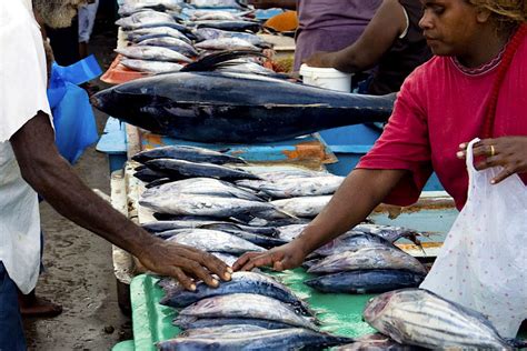 Honiara travel | Solomon Islands, Australia & Pacific - Lonely Planet