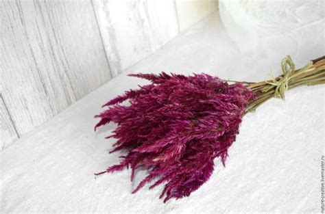 Целлозия перистая сухоцвет букетик в интернет-магазине на Ярмарке ...