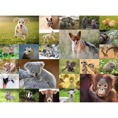 Ravensburger Puzzle Pi Ces Xxl Adorables B B S Animaux Pas Cher