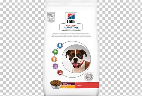 Dog Food Hill's Pet Nutrition Puppy Veterinarian PNG, Clipart, Free PNG Download