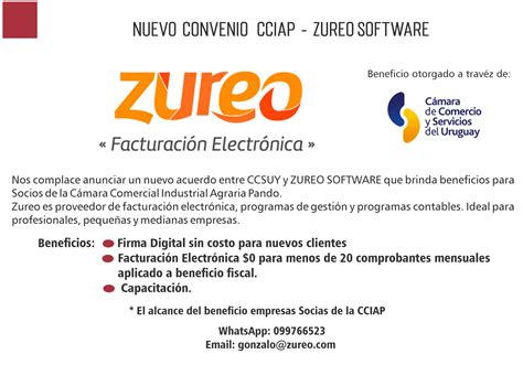 Nuevo Convenio Zureo Facturaci N Electr Nica Charla Informativa