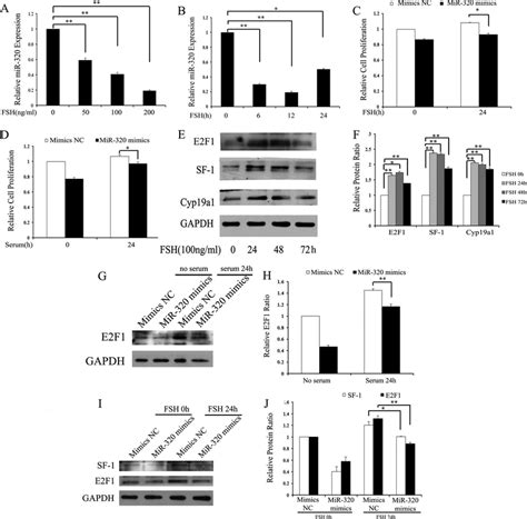 FSH Suppresses The Expression Of MiR 320 A And B FSH Repressed