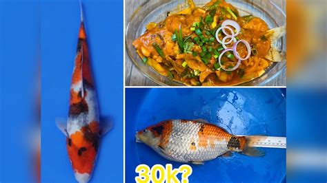 How To Cook A Koi Fish Mukbang Cooking The Most Expensive Fish In