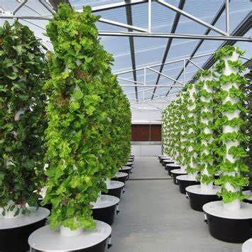 Wholesale Greenhouse Aeroponics Tower Garden Layers Vertical