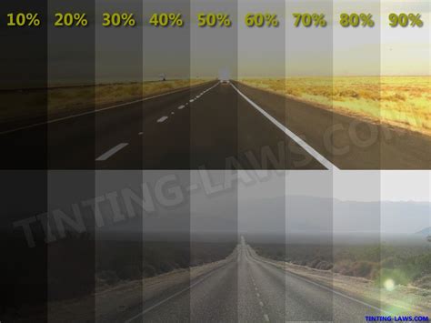 Tinted Window Percentages Chart