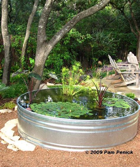 How To Make A Container Pond In A Stock Tank Digging Garden Pond