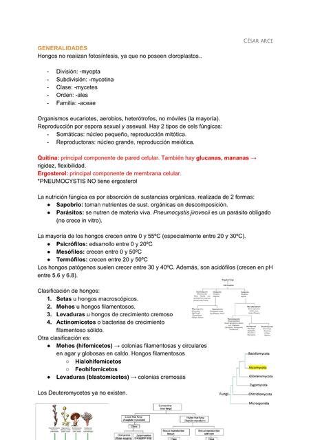 Resumen Del Tercer Bloque Micolog A Iovanny Cruz Ojeda Udocz
