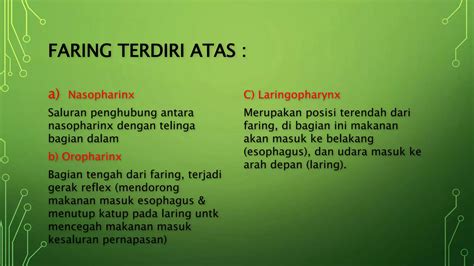 Kel 6 Sistem Respirasi Vertebrata Ppt