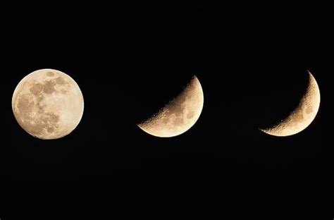 Calendario lunar cannábico 2022 Hemisferio Sur Chile