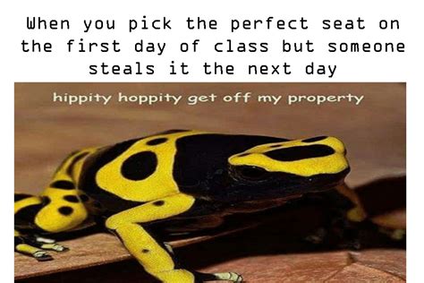 Hippity hoppity get off my property : r/frog_memes