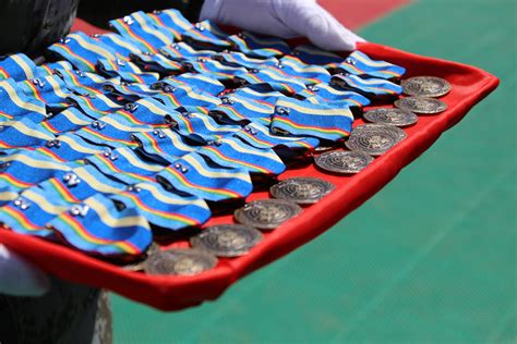 Chinese Peacekeepers To Mali Awarded Un Peace Medals Of Honor China