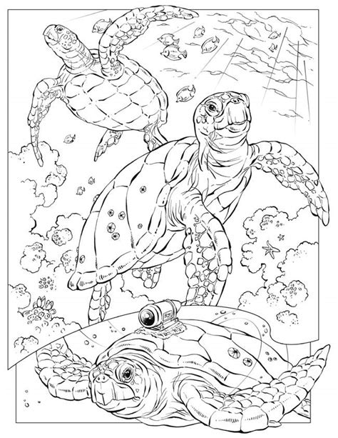 Free Printable Ocean Coloring Pages For Kids