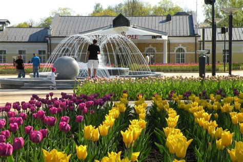 Друскининкай, Литва — все о городе с фото, лечение, санатории, отдых