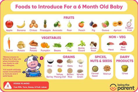 6 Month Baby Food Chart Recipes What To Give Avoid With Time