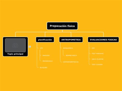 Preparaci N F Sica Mind Map