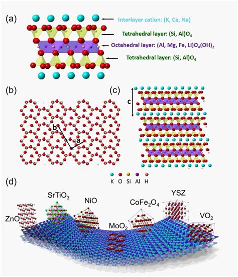 Freestanding Oxide Membranes Synthesis Tunable Physical Properties