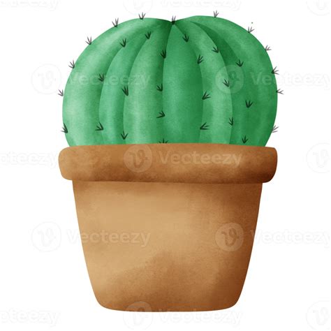 Caco En Estilo Acuarela 15338874 Png