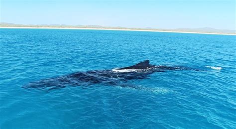 Breaksea Spit And Northern Fraser Island Offshore Action Oct 2011