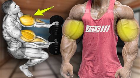 6 Top Exercises To Get Big Biceps Fast Youtube