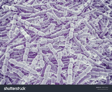Streptococcus Pneumoniae Cells 3d Illustration Stock Illustration ...