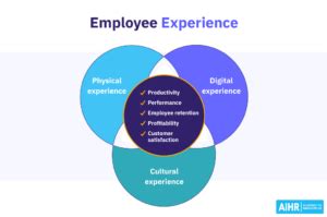 Employee Experience: A Complete Guide for HR - AIHR