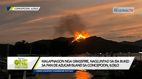 One Western Visayas Grassfire Nagluntad Sa Bukid Sa Pan De Azucar