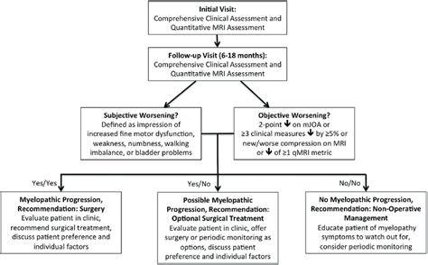 Decision Making Algorithm For Degenerative Cervical Myelopathy Patients