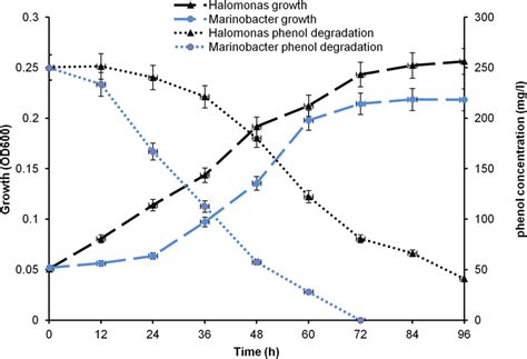 Biodegradation Of Phenol And Growth Curve Of Halomonas HA1 And