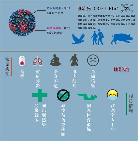 【专题】中国多地出现感染h7n9禽流感病例 浙江新闻 浙江在线