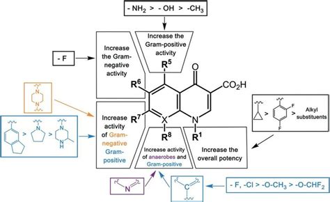 3 The Structure Activity Relationships Of Fqs The Antibacterial