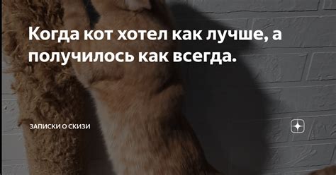 Когда кот хотел как лучше, а получилось как всегда. | Записки о Скизи ...