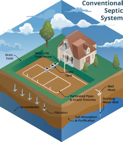 Your Septic System Water Programs University Of Florida Institute