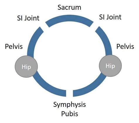 Pin On Pelvic Instability