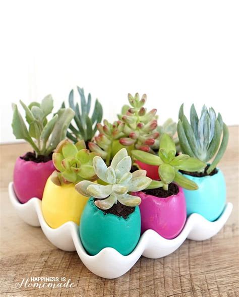 Easter Egg Succulent Planters Happiness Is Homemade Egg Shell