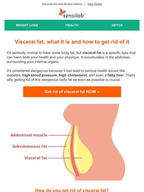 Sensilab Europe Visceral Fat Why You Need To Get Rid Of It Milled