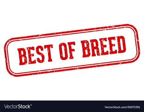 Best of breed stamp best of breed rectangular Vector Image