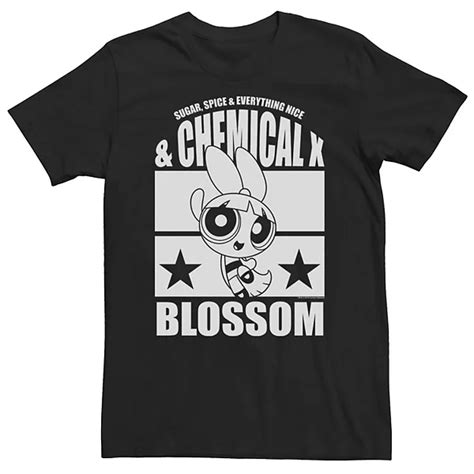 Big And Tall Cartoon Network The Powerpuff Girls Chemical X Blossom Tee