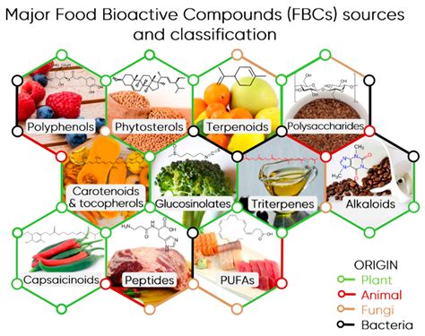 Foods Free Full Text Food Bioactive Compounds And Emerging Techniques For Their Extraction