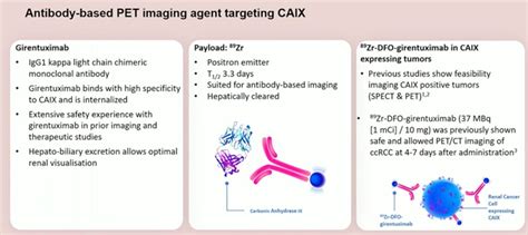 Eau Zr Dfo Girentuximab For Pet Ct Imaging Of Clear Cell Renal