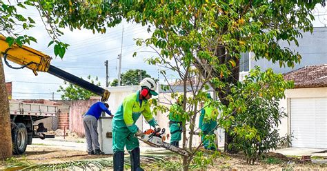 Alurb Inicia Mutir O De Poda E Supress O De Rvores Nos Conjuntos