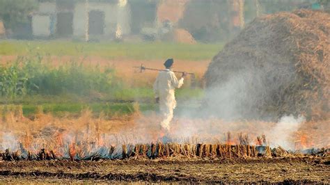 Nearly 40 000 Stubble Burning Incidents Reported In Punjab This Year